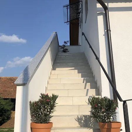 Zora With Terrace Near Terme Paradiso *