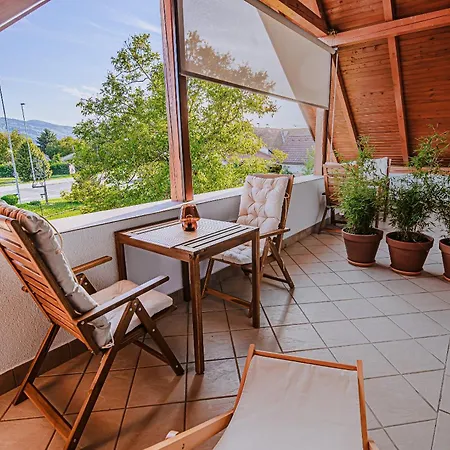 Zora With Terrace Near Terme Paradiso